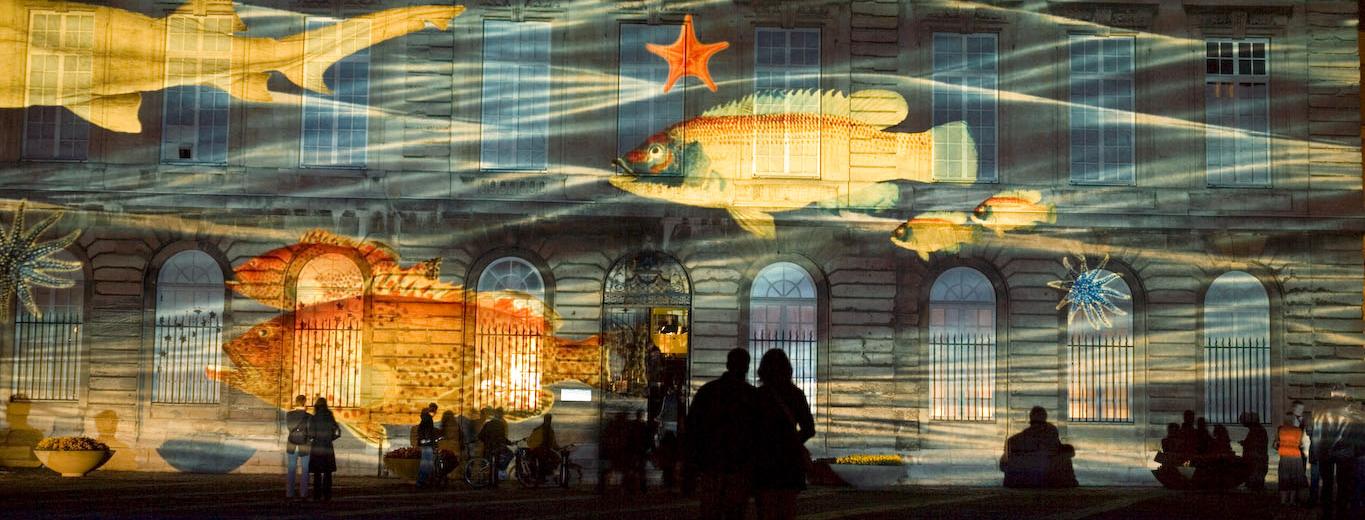 Vue d'une projection sur la façade du Muséum à la nuit tombée