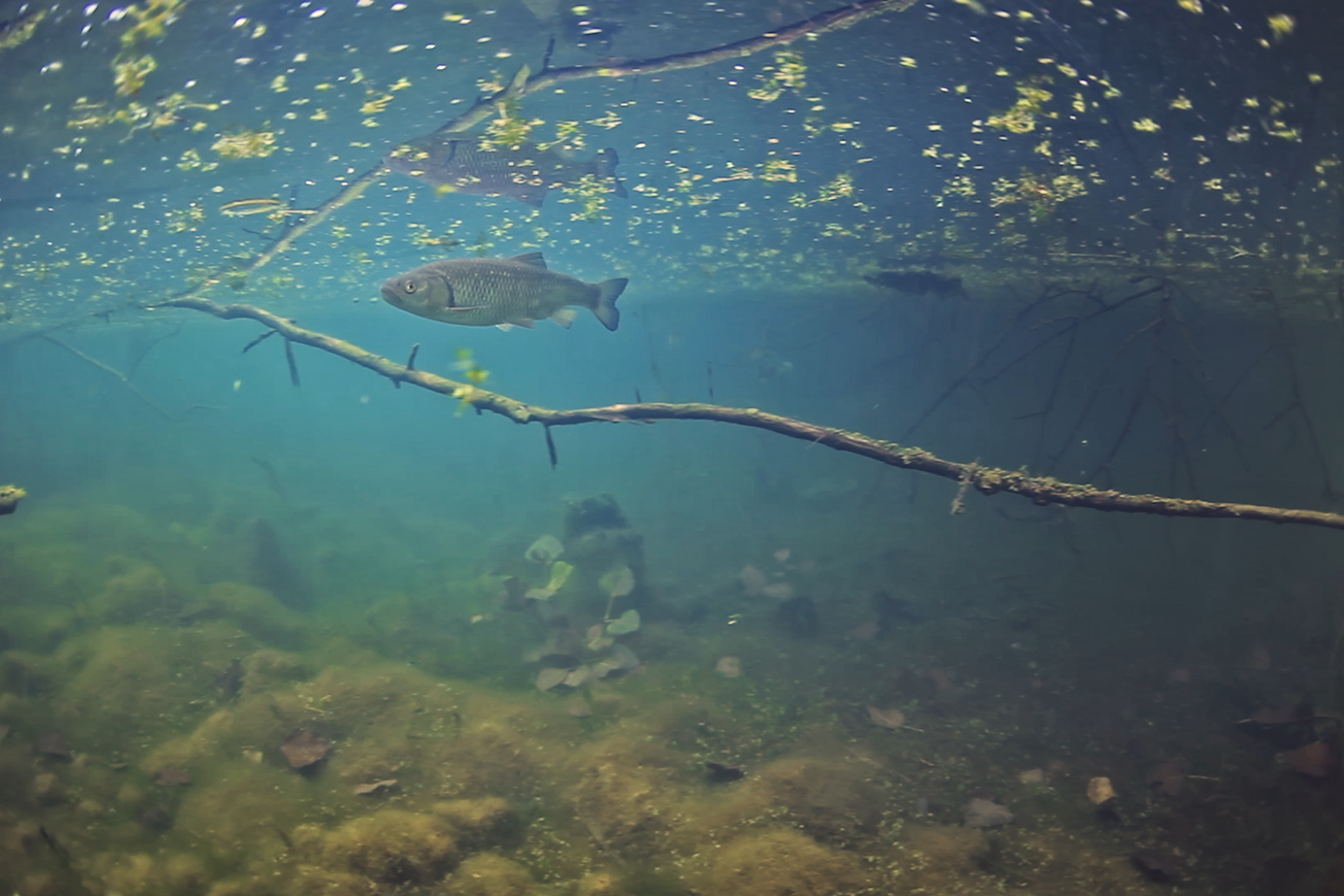 Projection La Seine un nouveau regard - Crédit : Rémi Masson