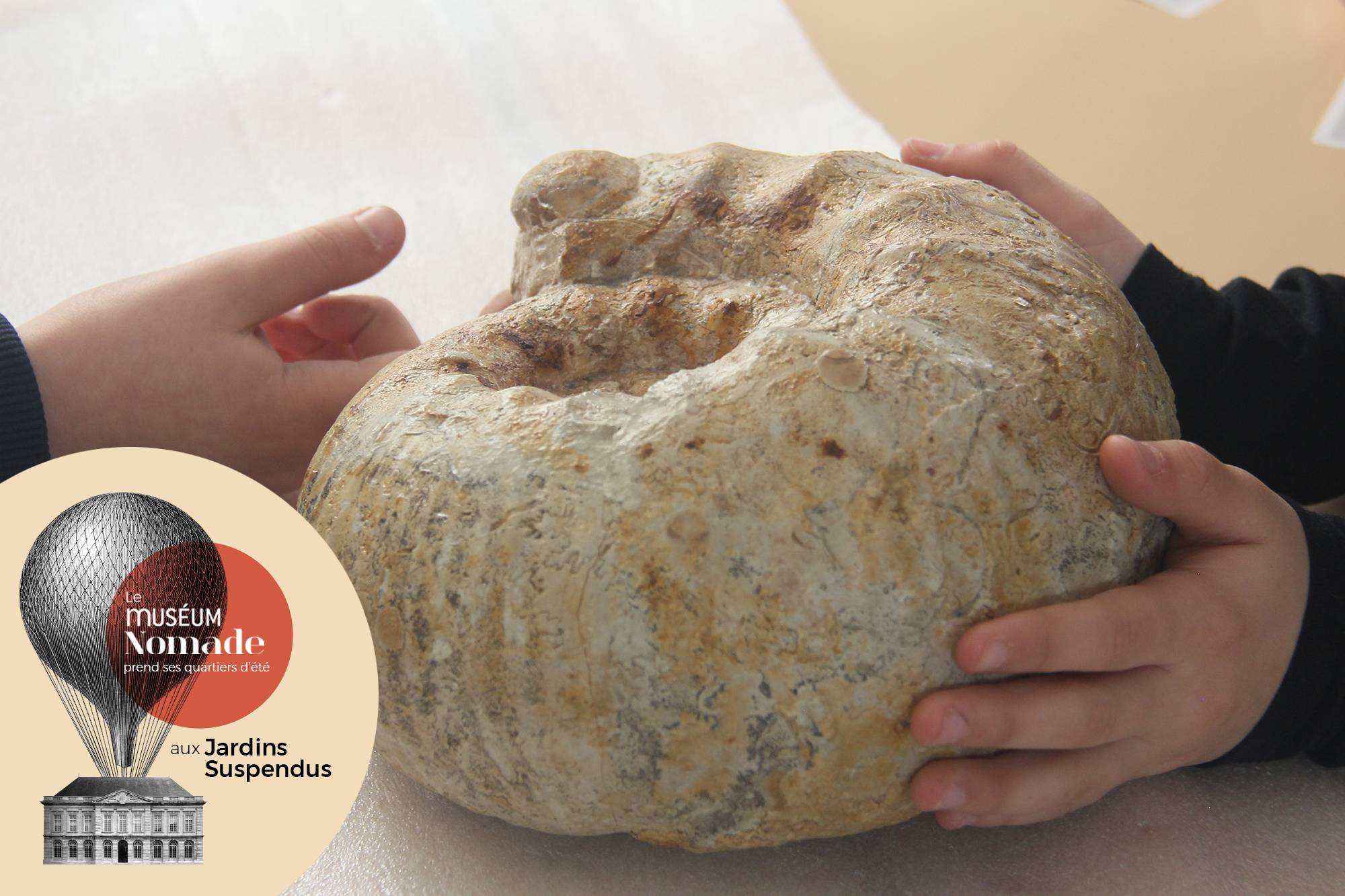 Mysterieux fossiles aux Jardins Suspendus -