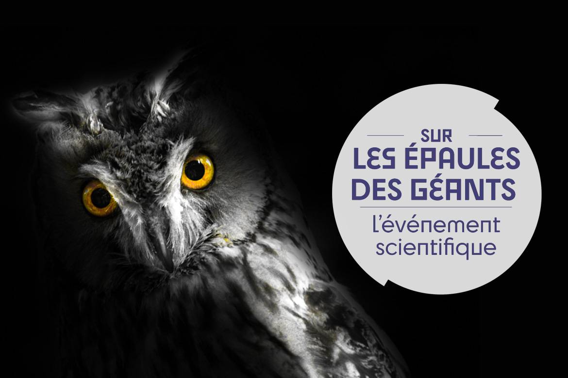 SLEDG - Lumière sur la biodiversité nocturne -